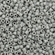 Perles Miyuki delicas 11/0 Opaque grey DB-731