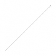 Apprêts en acier inox clou à tête plate 50mm Argenté