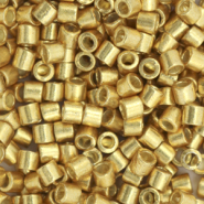 Perles Miyuki délicas 8/0 Duracoat galvanized gold DBL-1832