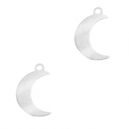 Breloques en acier inox lune Argenté