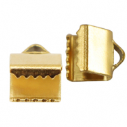 Apprêts en acier Inox griffe ruban 6mm Doré
