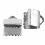 Apprêts en acier Inox griffe ruban 6mm Argenté