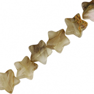 Pierres naturelles étoile Beige
