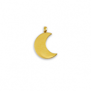 Breloques en acier Inox La Luna Doré