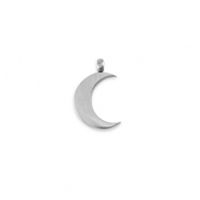 Breloques en acier Inox La Luna Argenté