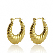 Bijoux en acier Inox Boucles d'oreilles en acier Inox
