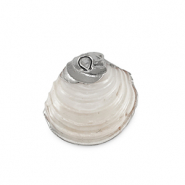 Pendentifs coquillage specials Moule Blanc crème-argenté