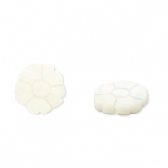 Perles coquillage fleur Blanc (couleur naturelle)