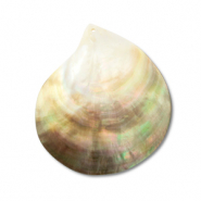 Pendentifs coquillage nacré Blanc (couleur naturelle)-marron clair-marron foncé