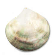 Pendentifs coquillage nacré Blanc (couleur naturelle)-marron clair-marron foncé