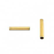 Perles en acier Inox tubes 5mm Dor&eacute;