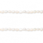 BQ Perles d'eau douce nugget 6x4mm Blanc naturel
