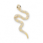 Broches serpent Doré-transparent-noir