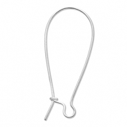 Apprêts en acier Inox boucles d'oreilles dormeuses Argenté