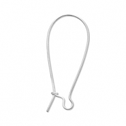 Apprêts en acier Inox boucles d'oreilles dormeuses Argenté
