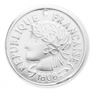 Breloques en acier Inox monnaie Argenté
