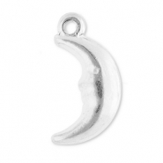 Breloques en acier Inox lune Argenté