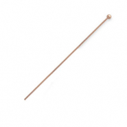 Apprêts en acier inox clou à tête boule 50 mm Dorérose