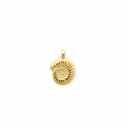 Breloques en métal DQ® coquillage Doré (sans nickel)