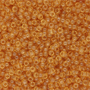 Perles de rocailles Miyuki 11/0 11-0162