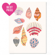 Cartes à bijoux coquille Multicolore