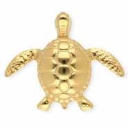 Broches accroche-regard en acier inox tortue Dor&eacute;
