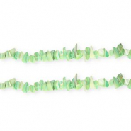 Perles coquillage chipstone Vert multicolore