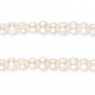 TQ Perles d’eau douce rond 5-6 mm Ivoire
