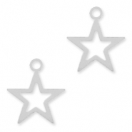 Perles / breloques Argent 925 perles et breloques