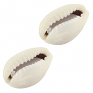 Perles coquillage Coquillages Cauri