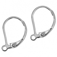 Boucles d'oreilles en acier inox argenté