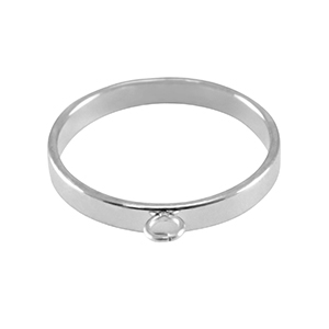 Appr&ecirc;ts en acier Inox bagues avec anneau Argent&eacute;