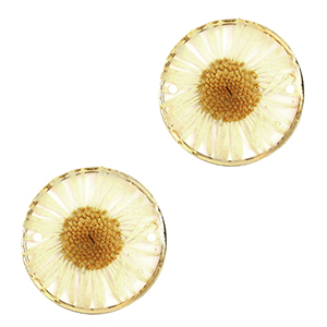 Connecteurs avec fleurs s&eacute;ch&eacute;es 20mm Dor&eacute;-beige