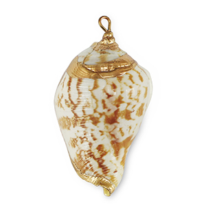 Pendentifs coquillage specials Marron clair-dor&eacute;