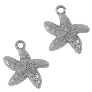Breloques en acier Inox &eacute;toile de mer Argent&eacute;