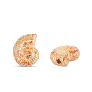 Perles en c&eacute;ramique DQ grecque coquille Orange