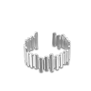 Bagues en acier Inox Argent&eacute;