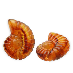 Perles acryliques coquillage Marron ambre