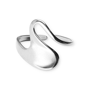 Bagues en acier Inox Argent&eacute;