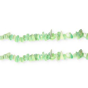 Perles coquillage chipstone Vert multicolore
