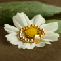 Cr&eacute;ez des bracelets personnalis&eacute;s avec des perles Fleur de Naissance