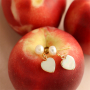 Mix and match des clous d'oreilles en acier inoxydable et perle 