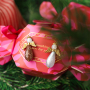 Mix & match avec les gouttes et cabochons Polaris