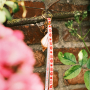 Laissez-vous inspirer par les rubans BY31&reg; 